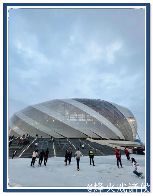 重庆龙兴球场启用：下赛季中超将有10队拥有专用足球场